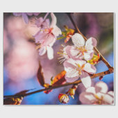 Schöne Sakura-Blüten Geschenkpapier (Flach)