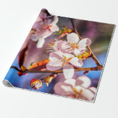 Schöne Sakura-Blüten Geschenkpapier (Ungerollt)