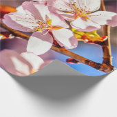Schöne Sakura-Blüten Geschenkpapier (Ecke)