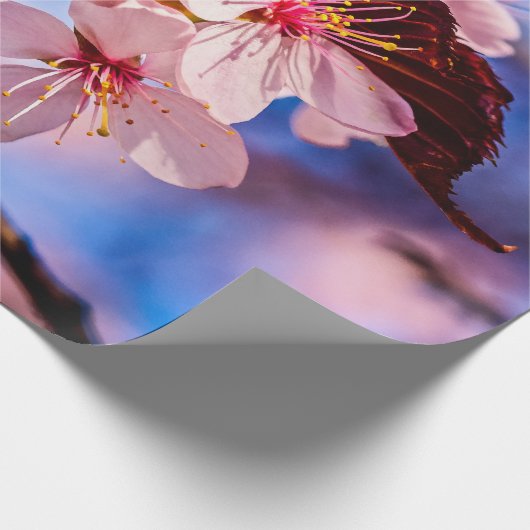 Schöne Sakura-Blüten Geschenkpapier (Ecke)