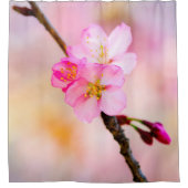 Schöne Sakura Kirschblüten Duschvorhang (Vorderseite)