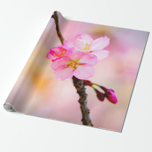 Schöne Sakura Kirschblüten Geschenkpapier