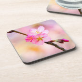 Schöne Sakura Kirschblüten Getränkeuntersetzer (Linke Seite)