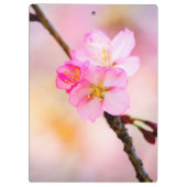Schöne Sakura Kirschblüten Klemmbrett (Rückseite)