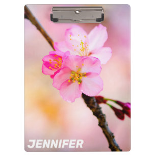 Schöne Sakura Kirschblüten Klemmbrett