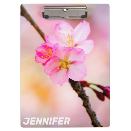 Schöne Sakura Kirschblüten Klemmbrett (Vorderseite)