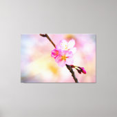 Schöne Sakura Kirschblüten Leinwanddruck (Vorderseite)