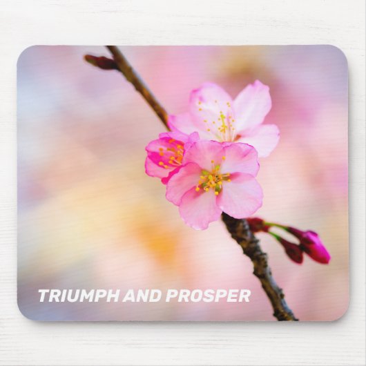 Schöne Sakura Kirschblüten Mousepad (Vorne)