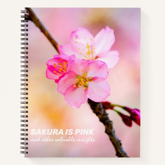 Schöne Sakura Kirschblüten Notizblock (Vorderseite)