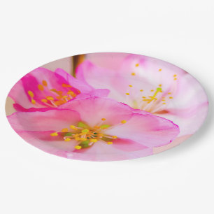 Schöne Sakura Kirschblüten Pappteller