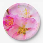 Schöne Sakura Kirschblüten Pappteller (Vorderseite)