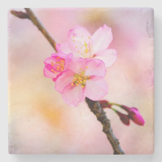 Schöne Sakura Kirschblüten Steinuntersetzer (Vorderseite)