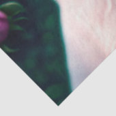 Schöne Sammlung von Hunden und Rose Seidenpapier (Ausschnitt)