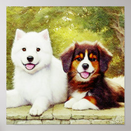 Schöne Samoyed & English Shepherds Poster