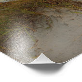 Schöne Sanddünen am Strand von Daytona, FL Fotodruck (Ecke)