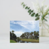 Schöne Sarasota, Florida Postcard Postkarte (Stehend Vorderseite)