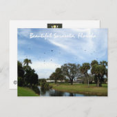 Schöne Sarasota, Florida Postcard Postkarte (Vorne/Hinten)