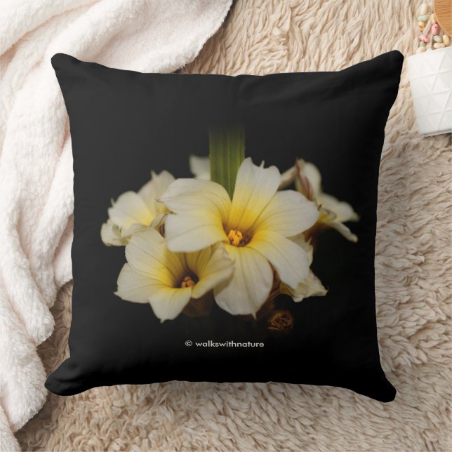 Schöne Satin-Blume auf schwarz Kissen (Decke)
