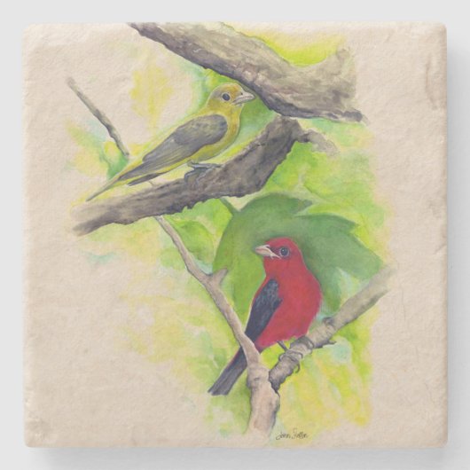 Schöne Scarlet Tanager Malerei Steinuntersetzer (Vorderseite)