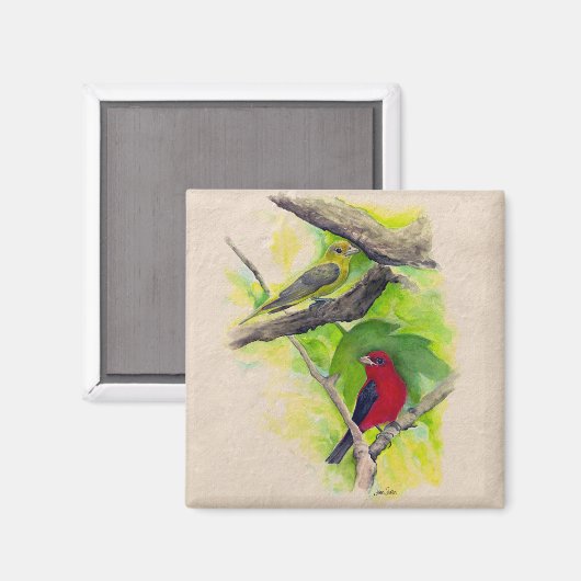 Schöne Scharlachteänger Vogelmalerei Magnet (Vorderseite/Rückseite)