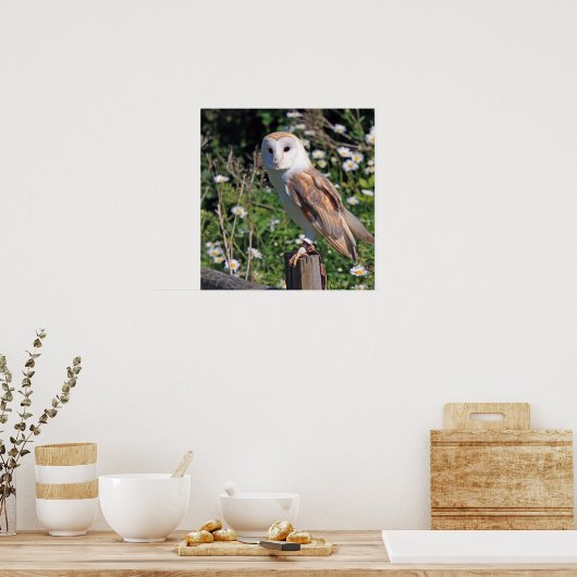 Schöne Scheuneneule Poster (Küche)