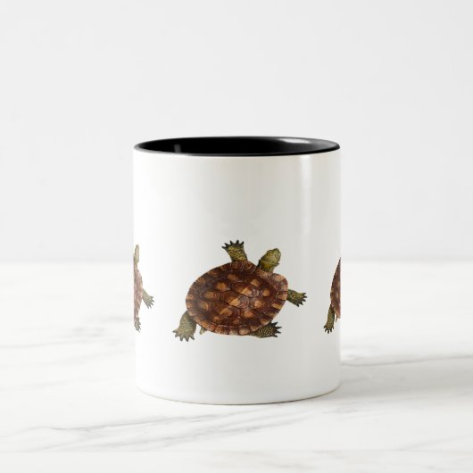 schöne Schildkröte Zweifarbige Tasse (Mittel)