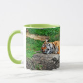 Schöne schlafende Tigerkaffee-Tasse Tasse (Links)