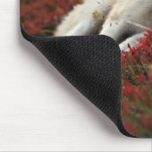 Schöne schlafende Wolf Mouse Mat Mousepad (Ecke)
