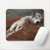 Schöne schlafende Wolf Mouse Mat Mousepad (Mit Mouse)