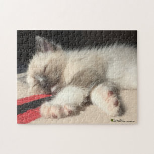 Schöne Schlafkätzchen Fotografie Puzzle