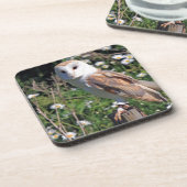 Schöne Schleiereule Getränkeuntersetzer (Linke Seite)