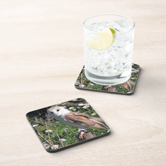 Schöne Schleiereule Getränkeuntersetzer (Rechte Seite)