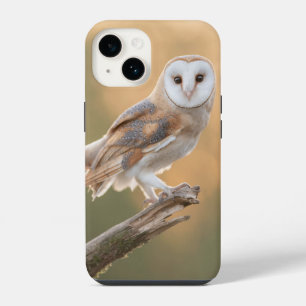 Schöne Schleiereule iPhone 14 Hülle