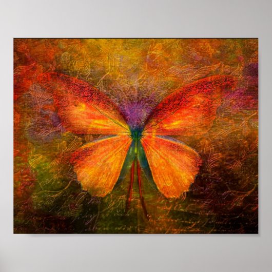 Schöne Schmetterling  Poster (Vorne)