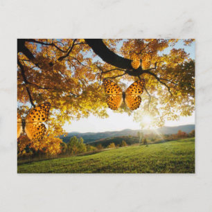 Schöne Schmetterlinge aus der Herbstlandschaft nac Postkarte