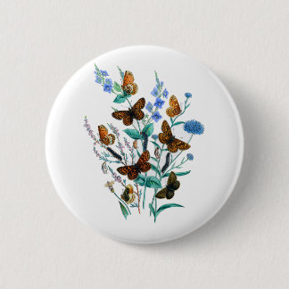 Schöne Schmetterlinge Button