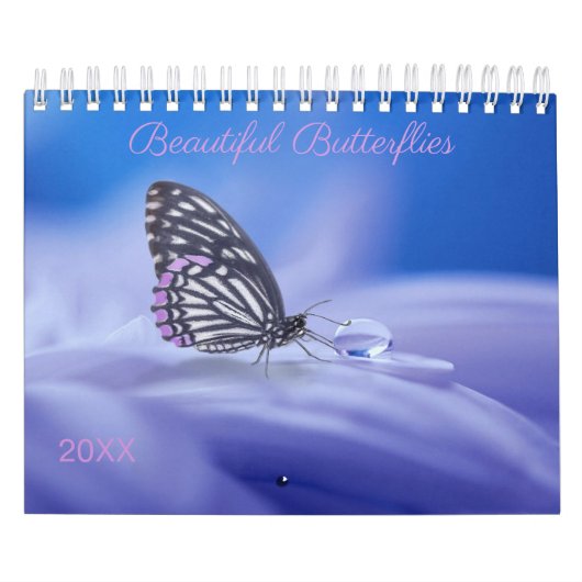 Schöne Schmetterlinge Fotografie Kalender (Titelbild)