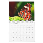 Schöne Schmetterlinge Fotografie Kalender (Jan 2027)