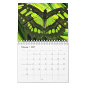 Schöne Schmetterlinge Fotografie Kalender (Feb 2027)