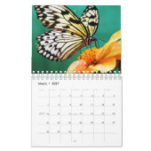 Schöne Schmetterlinge Fotografie Kalender (Mär 2027)