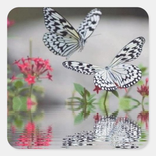 Schöne Schmetterlinge im Flight Sticker Set (Vorderseite)