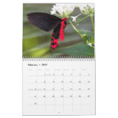 Schöne Schmetterlinge Kalender (Feb 2027)