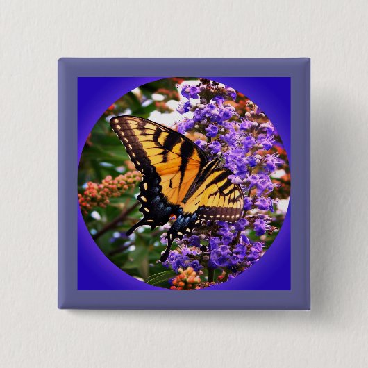 Schöne Schmetterlinge Pinback Button (Vorderseite)