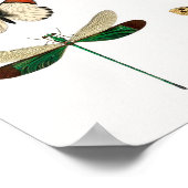 Schöne Schmetterlinge Poster (Ecke)