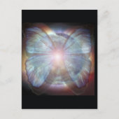 Schöne Schmetterlinge Postkarte (Vorderseite)