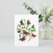 Schöne Schmetterlinge Postkarte (Stehend Vorderseite)