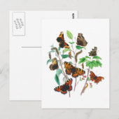 Schöne Schmetterlinge Postkarte (Vorne/Hinten)