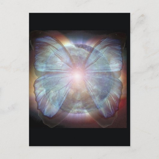 Schöne Schmetterlinge Postkarte (Vorderseite)