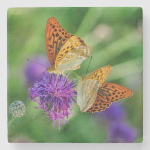 Schöne Schmetterlinge Steinuntersetzer