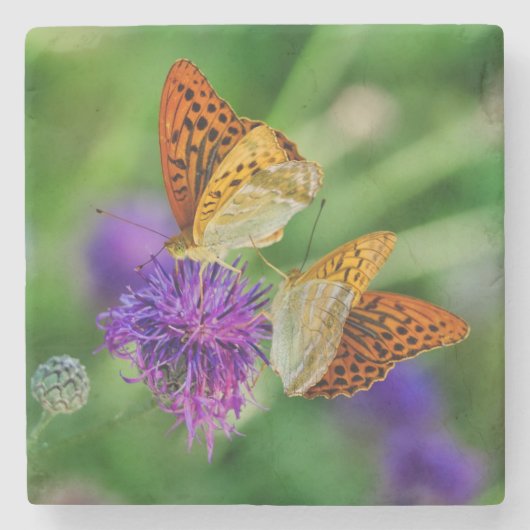Schöne Schmetterlinge Steinuntersetzer (Vorderseite)
